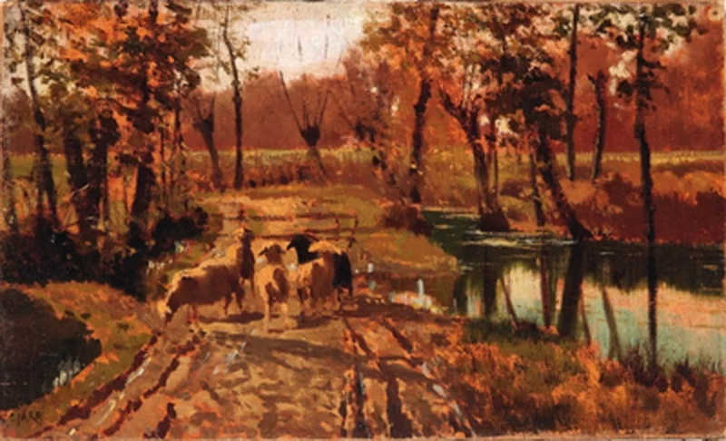 Pecore sul sentiero di campagna